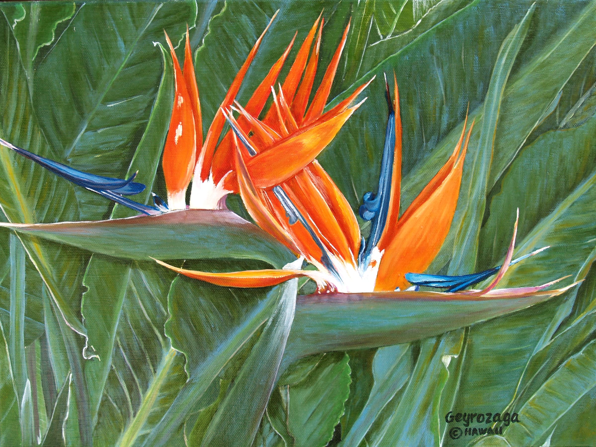 avatar 1