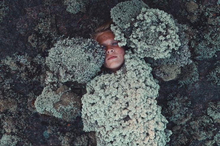 Covered by Forest